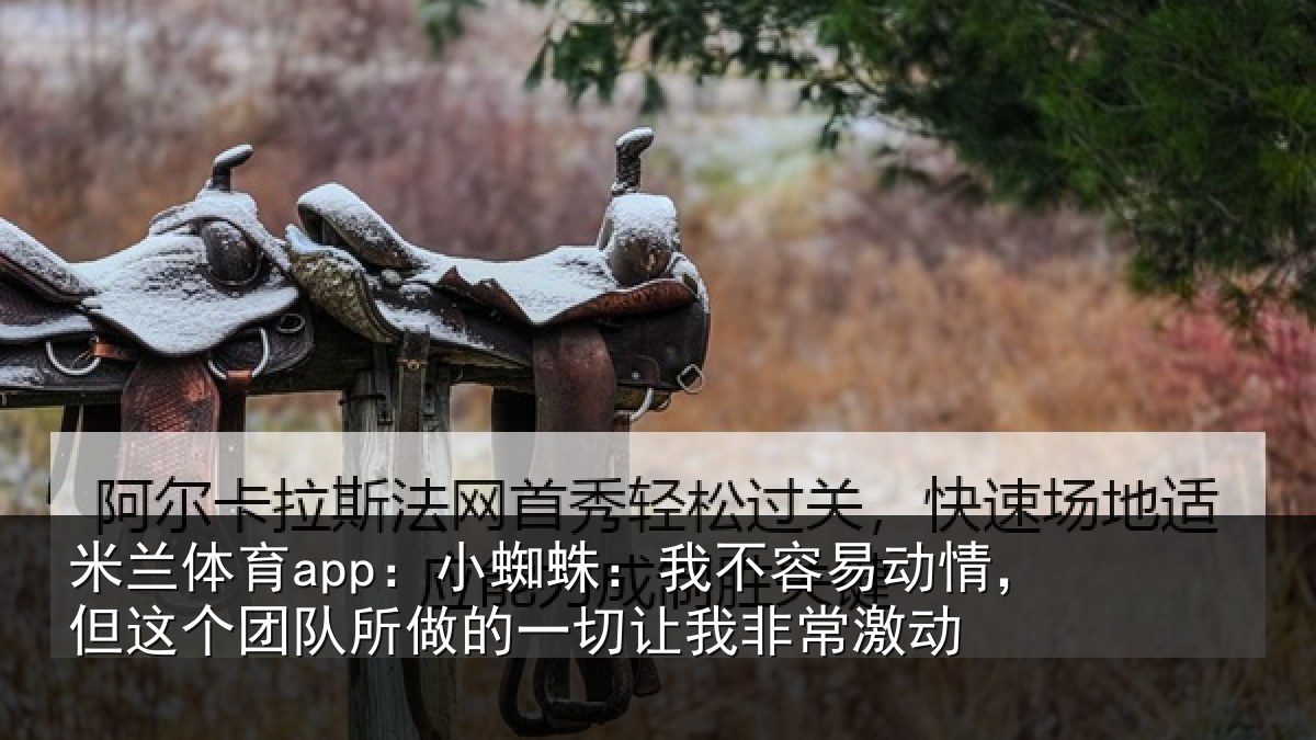 米兰体育app：小蜘蛛：我不容易动情，但这个团队所做的一切让我非常激动